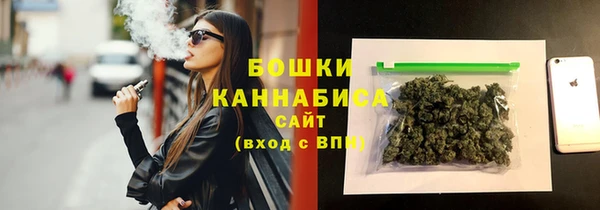 молекула духа Вязьма