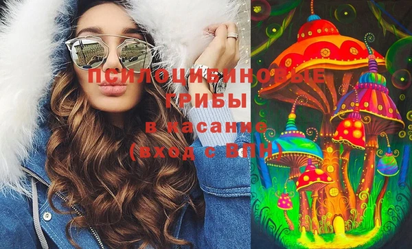 молекула духа Вязьма