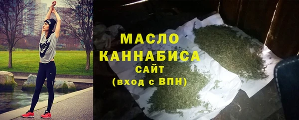 молекула духа Вязьма