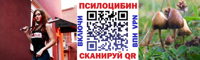 Псилоцибиновые грибы MAGIC MUSHROOMS Невьянск